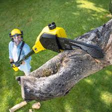 Best Soil Testing and Treatment  in West Point, NE